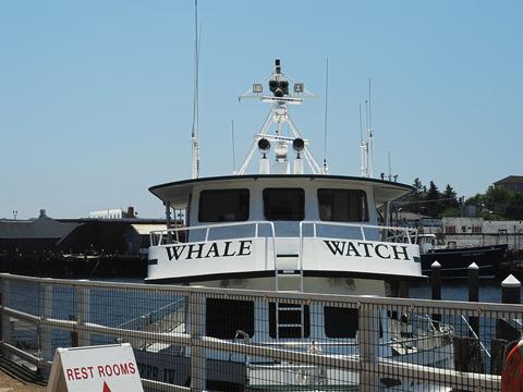 The Privateer IV