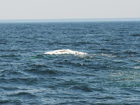 After the whale submerges #2