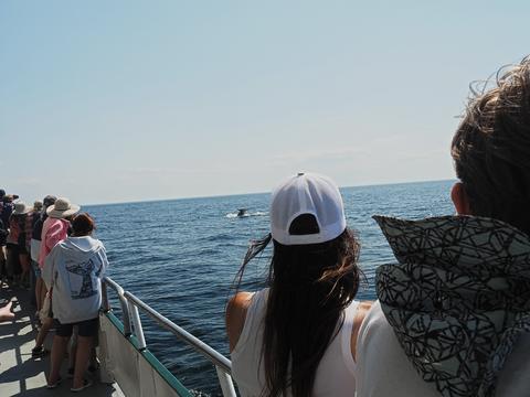 Looking for whales #3