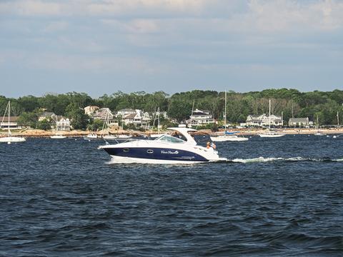 Four Paws boat