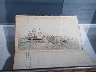 Whaleship Acushnet logbook, 1845-1847