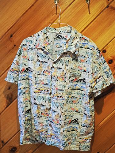 Hawaiian shirt