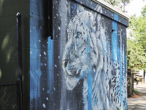 Leopard painting