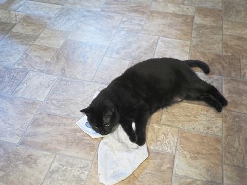 Diana with a towel #3