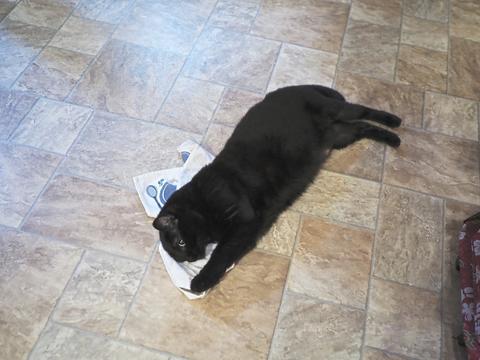 Diana with a towel #4