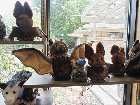 Nutso with some bats