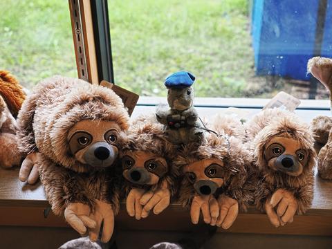 Nutso with some sloths