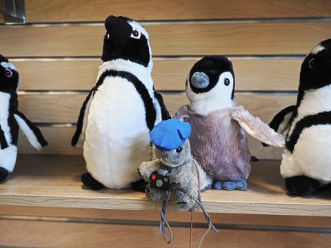 Nutso with penguins
