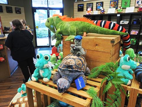 Nutso on a turtle