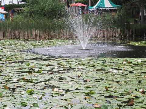 Water display