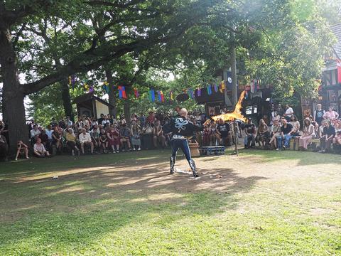 Fire whip #5