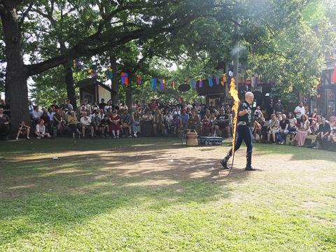 Fire whip #15