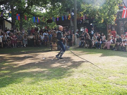 Chain whip
