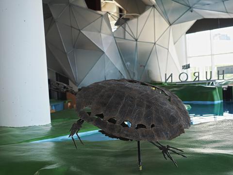 Turtle sculpture