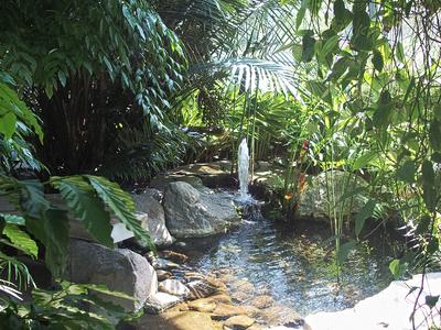 Pond and fountain
