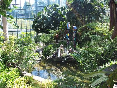 Greenhouse vegetation