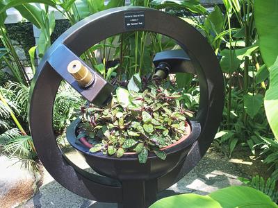 Plant microscope