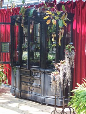 Sticky plant exhibit