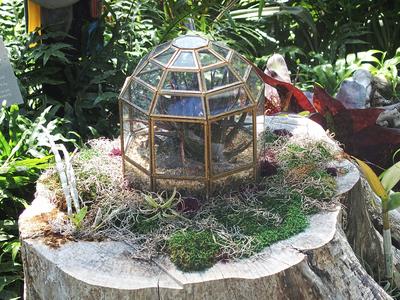 Greenhouse within a greenhouse