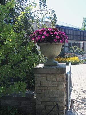 Entrance way