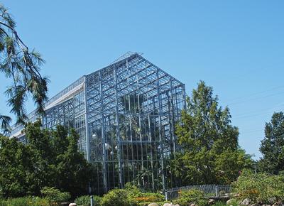 Greenhouse