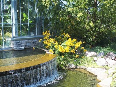 Sunflowers and waterfall