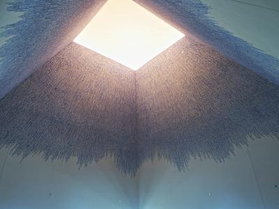 Ceiling display