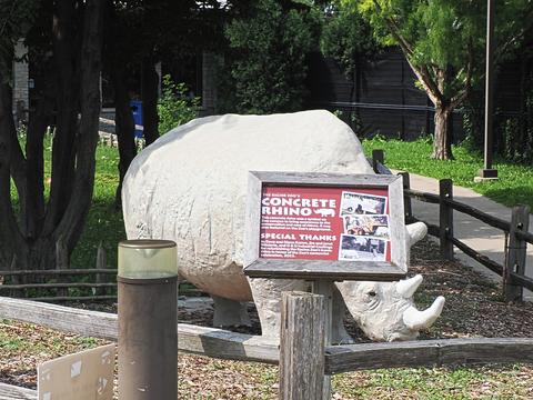 Concrete Rhino