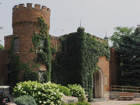 Ivy covered building