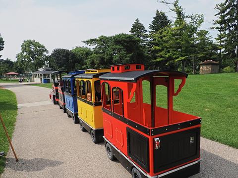 Zoo train