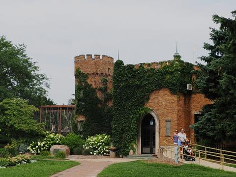 Ivy covered building #3