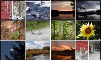 Small combination photos of 2004 Spectacle Pond Calendar