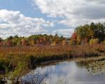 Spectacle Pond fall picture