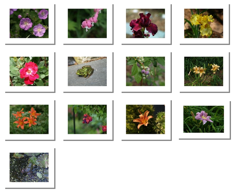 Small combination photos of 2008 Rebecca's Garden Calendar