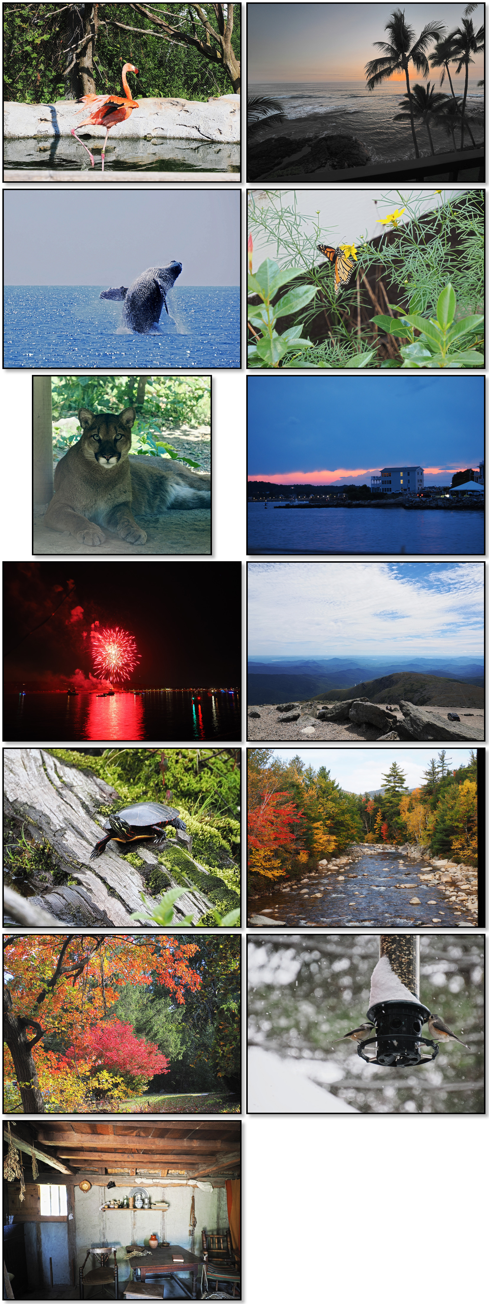 Combination photos used for the 2026 Meissner family calendar