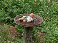 Olympus 40-1500mm lens, tripod, ISO 100