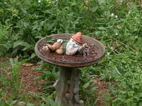 Olympus 40-150mm lens, tripod, ISO 400