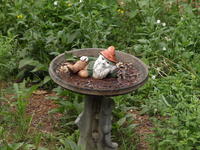 Olympus 40-150mm lens, tripod, ISO 1600