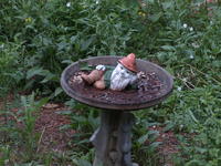 Vivitar 70-210mm, tripod, ISO 100