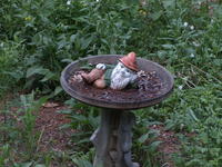 Vivitar 70-210mm, tripod, ISO 400