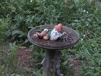 Vivitar 70-210mm, tripod, ISO 1600