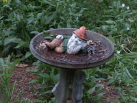 Vivitar 100-300mm, tripod, ISO 100