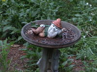 Vivitar 100-300mm, tripod, ISO 400