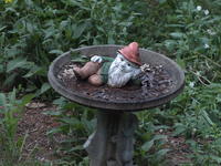 Vivitar 100-300mm, tripod, ISO 1600