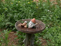 Olympus 50-200mm lens, tripod, ISO 100