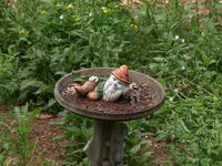 Olympus 50-200mm lens, tripod, ISO 400