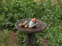 Olympus 50-200mm lens, tripod, ISO 1600