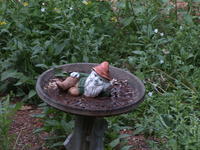 Vivitar 70-210mm, image stabalization, ISO 100