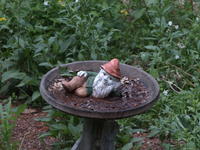 Vivitar 70-210mm, image stabalization, ISO 400