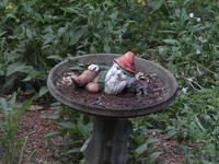 Vivitar 70-210mm, image stabalization, ISO 1600